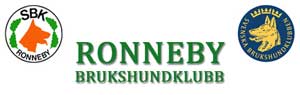 Ronneby BK